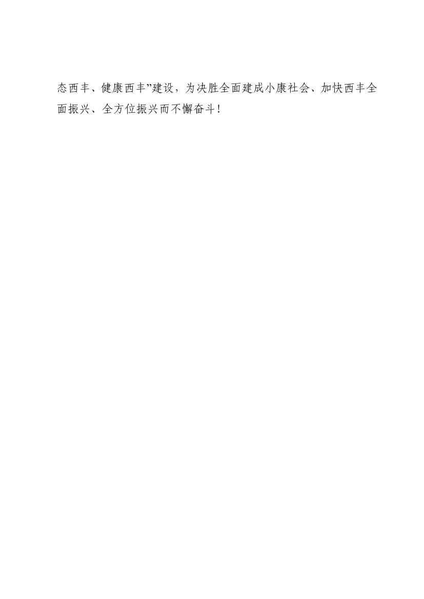 2019年西丰县政府工作报告0018