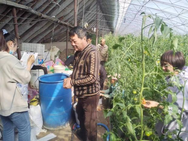 西丰县开展省级农产品质量安全例行监测（风险监测）抽样工作