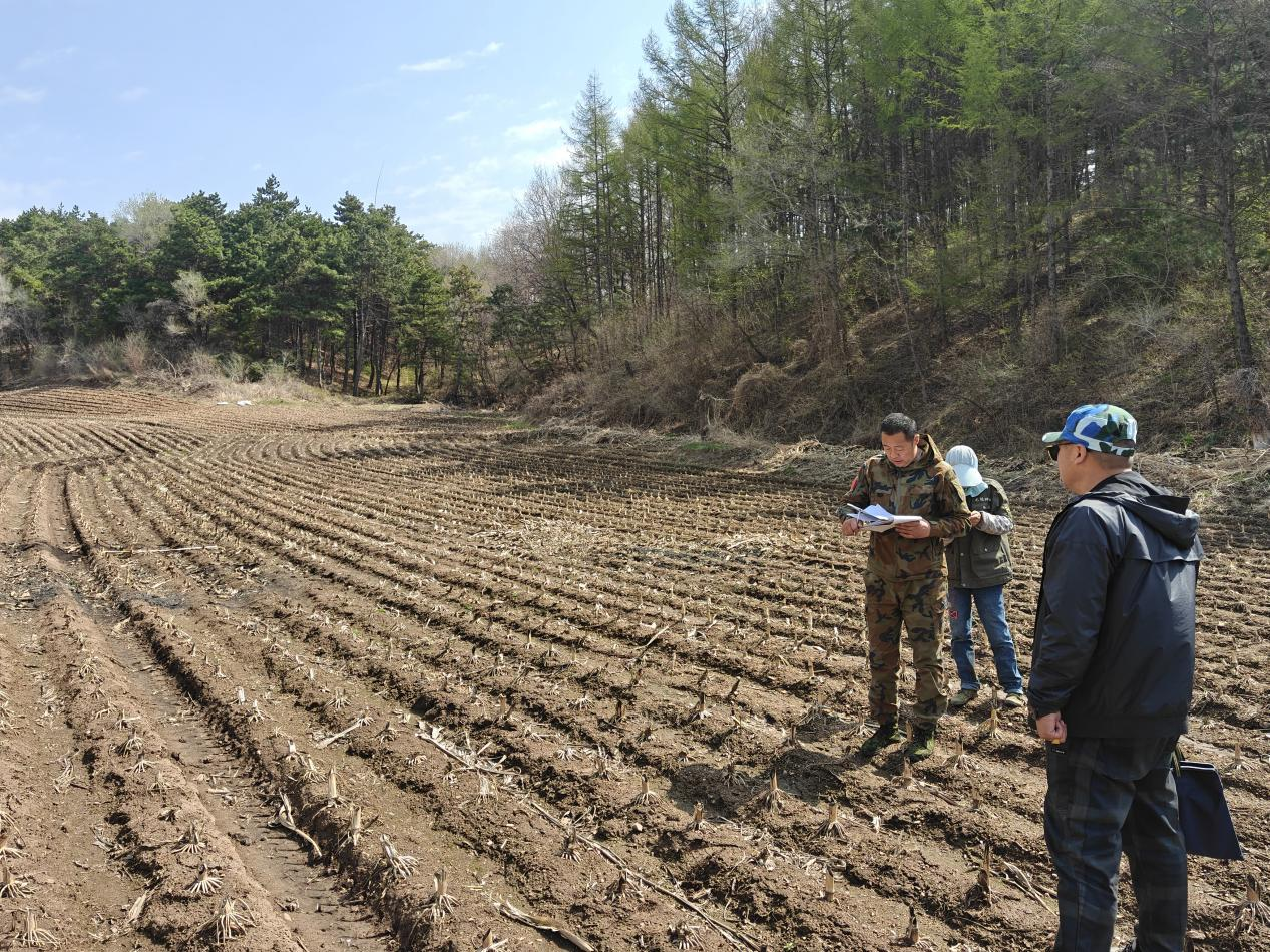 西丰县陶然镇开展侵占林地斑块核实、“小开荒”地块排查等重点工作